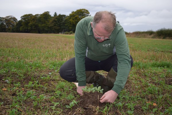 David Aglen, Tank Wilson Field examining soil